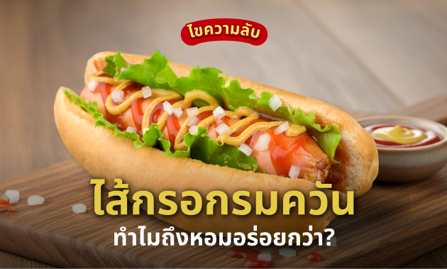 ไส้กรอกรมควัน คืออะไร